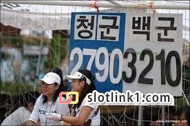 1778234049_9.jpg
