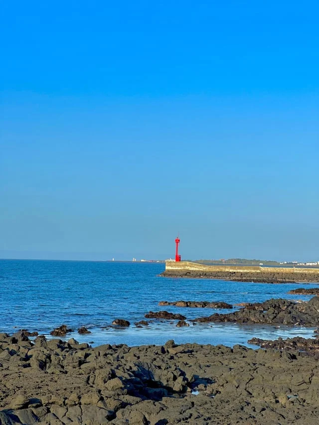 1781025808_1.jpg