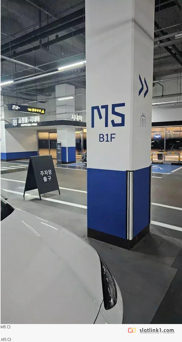 1779147713_0.jpg