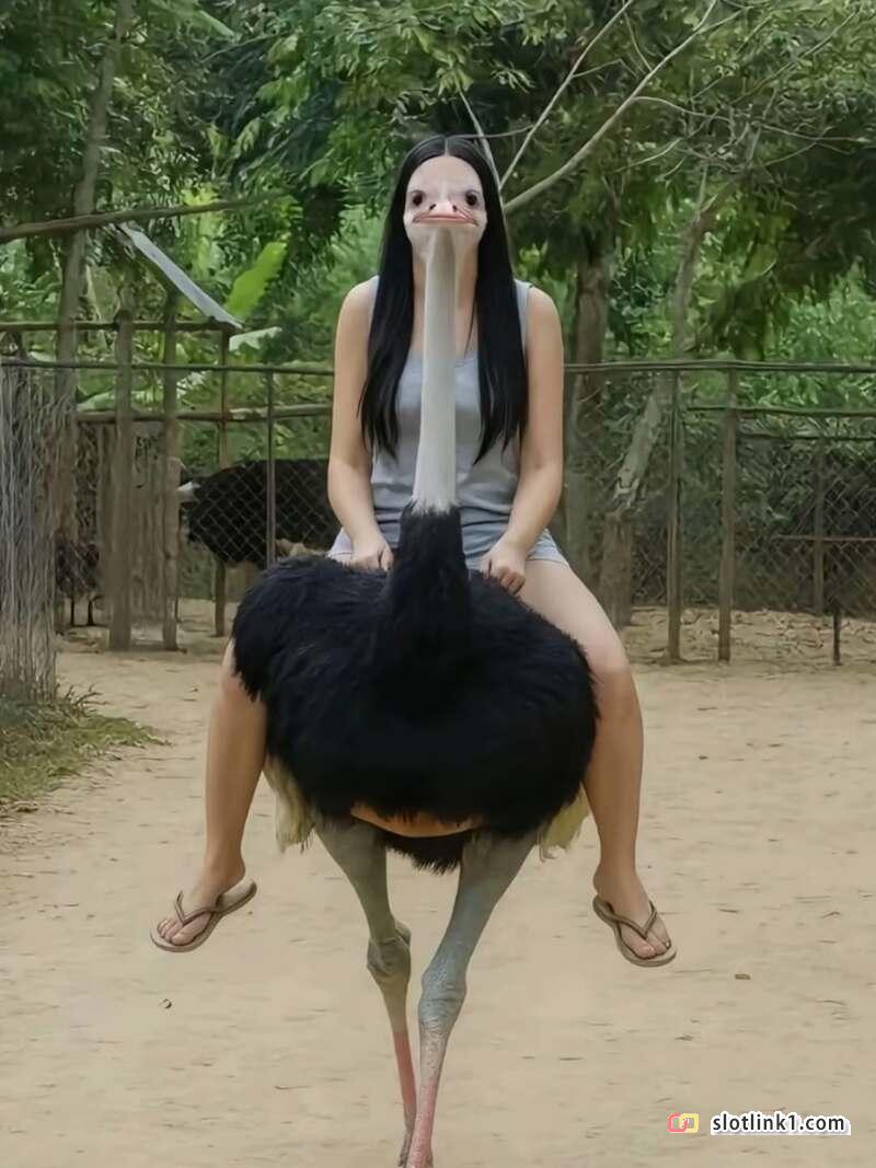 1779968254_11.jpg