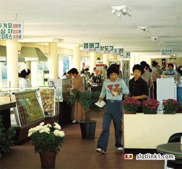 1780463072_0.jpg