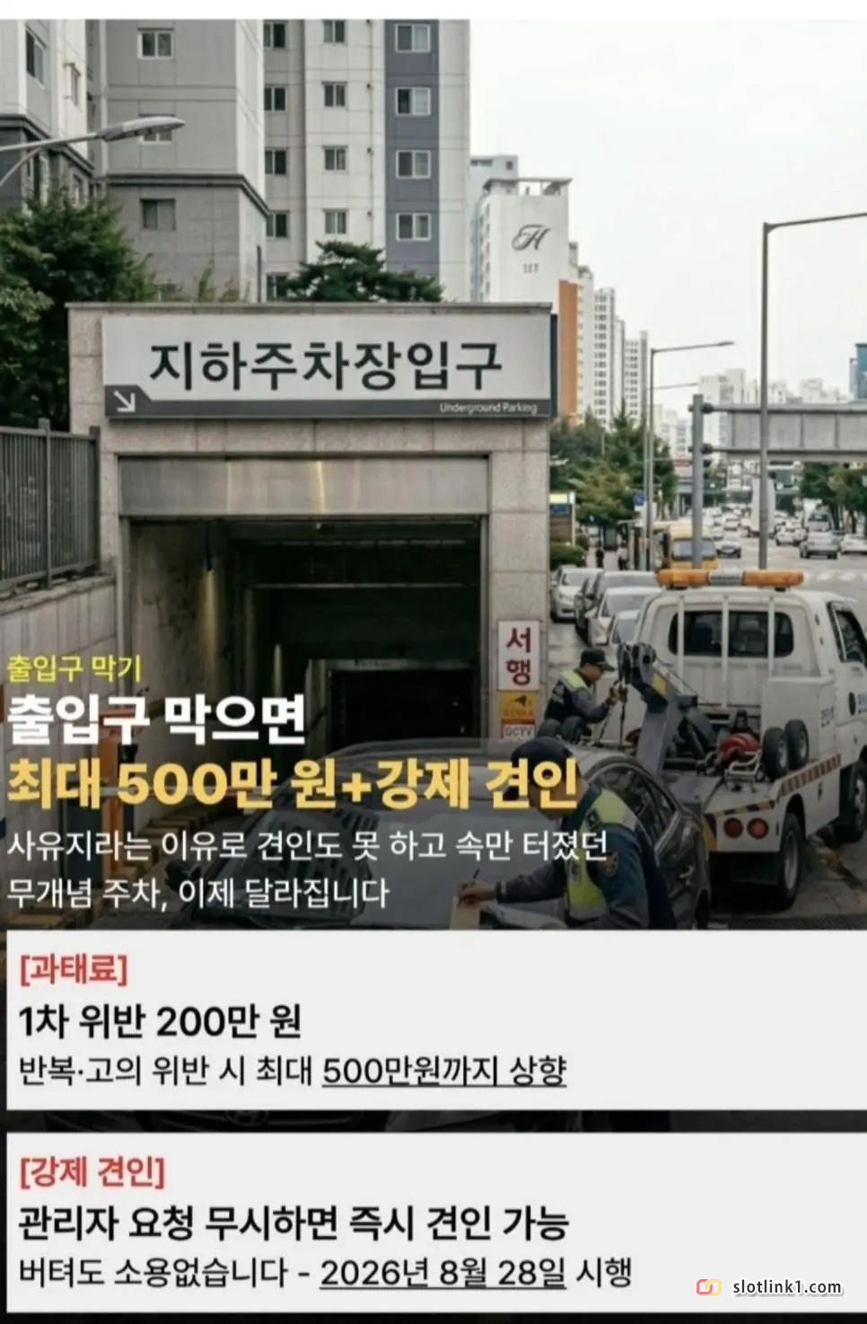 1781034356_0.png