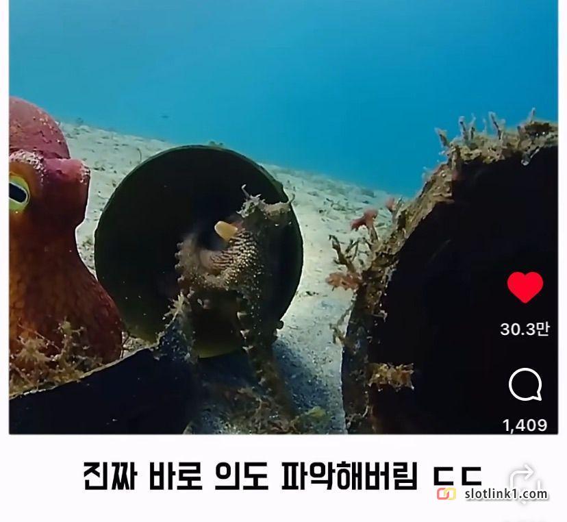1781623450_13.jpg