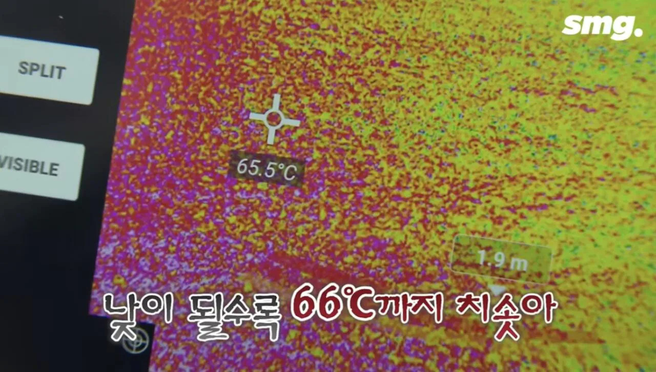 1786191285_3.jpg