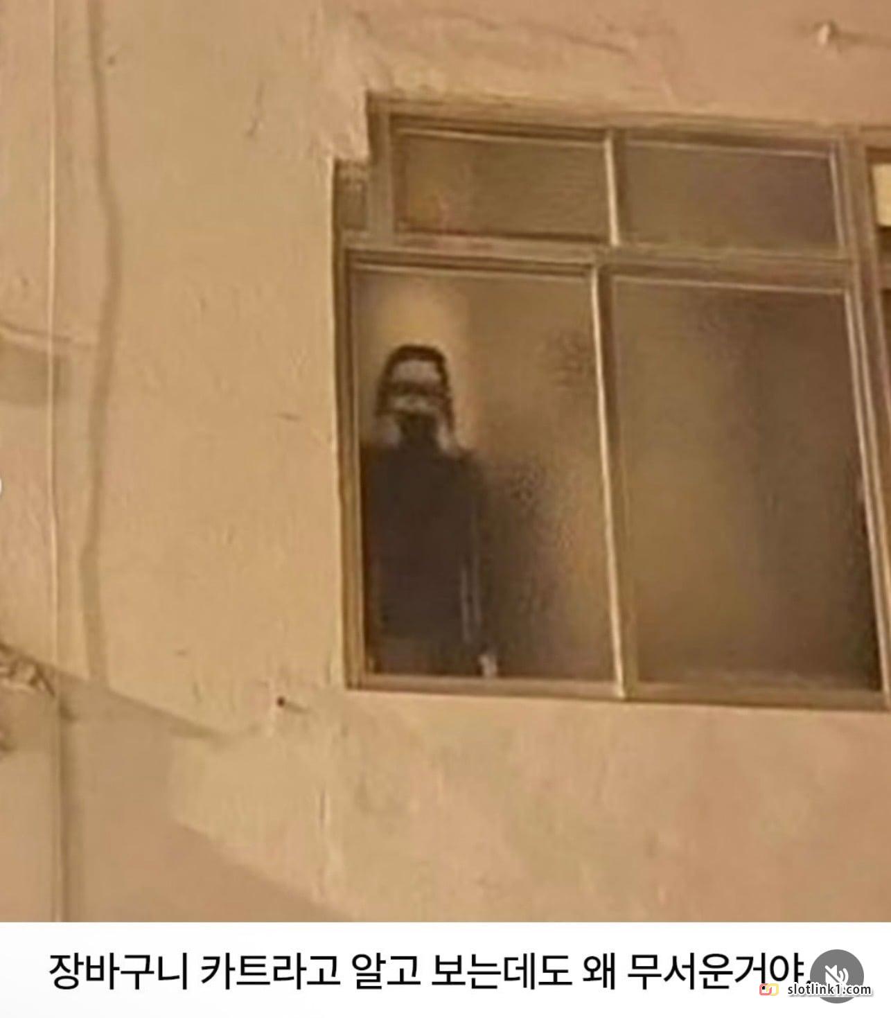1786580588_1.jpg