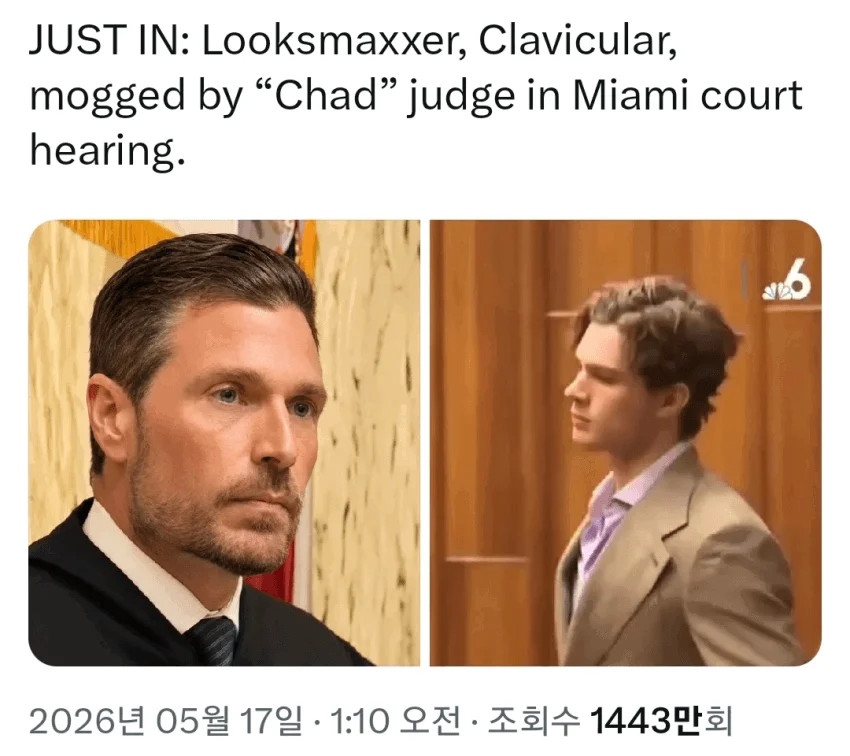1788458377_8.jpg
