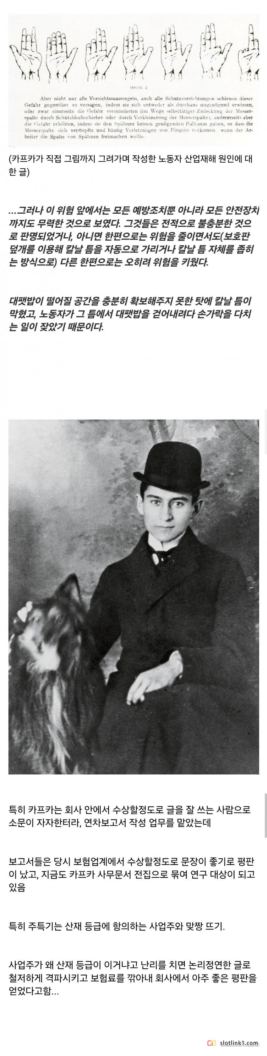 1789038764_1.jpg