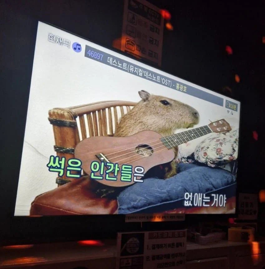 1789567223_39.jpg