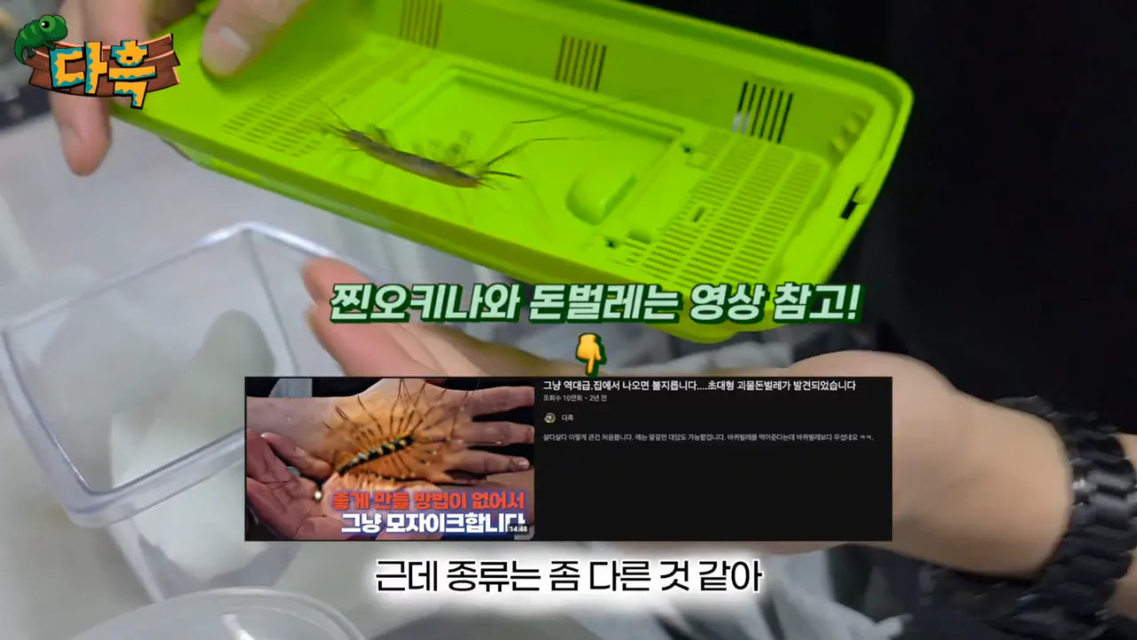 1790331246_14.jpg
