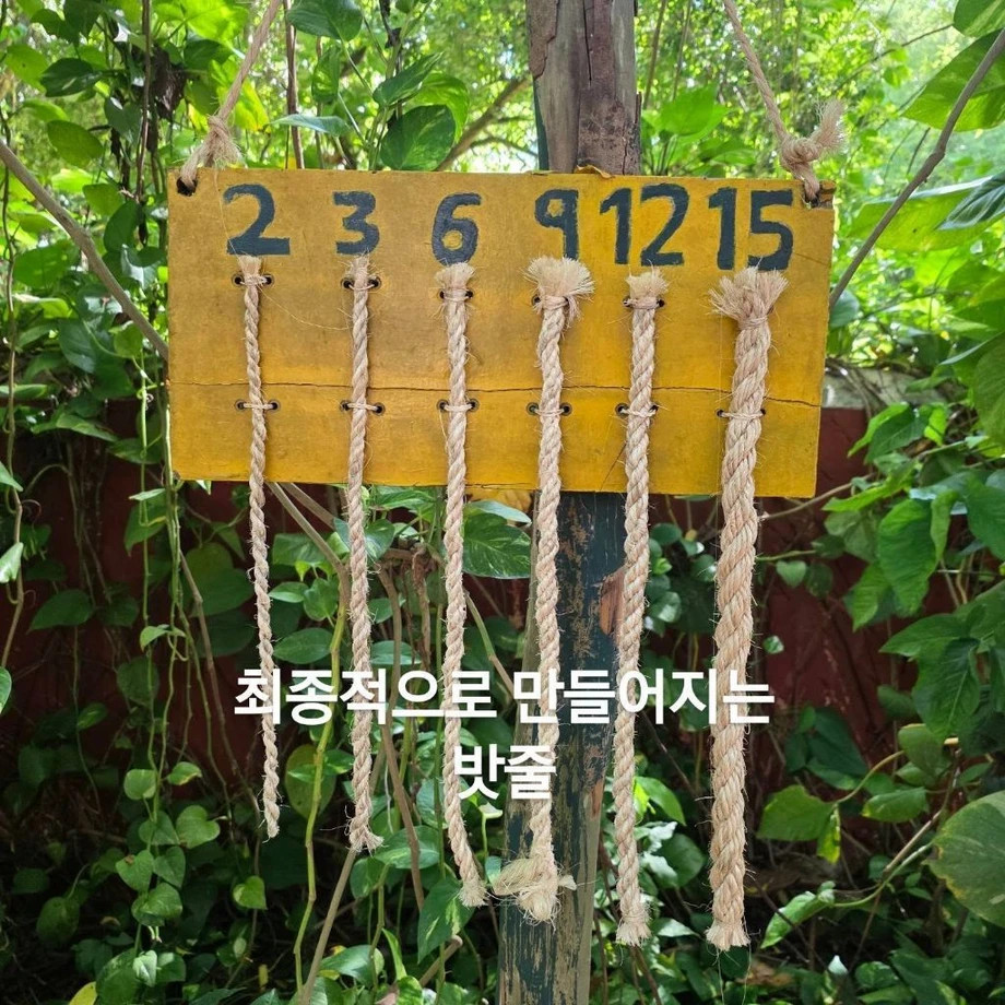 1790987923_4.jpg