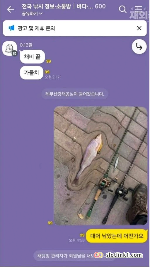 1780665230_0.png
